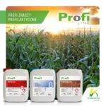 profi_cuztra_bor_mangan