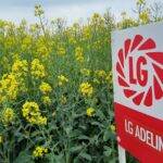 20230523_130926_resized_1