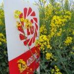 20230523_130934_resized_1