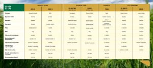 LG CASTING - jęczmień ozimy dwurzędowy